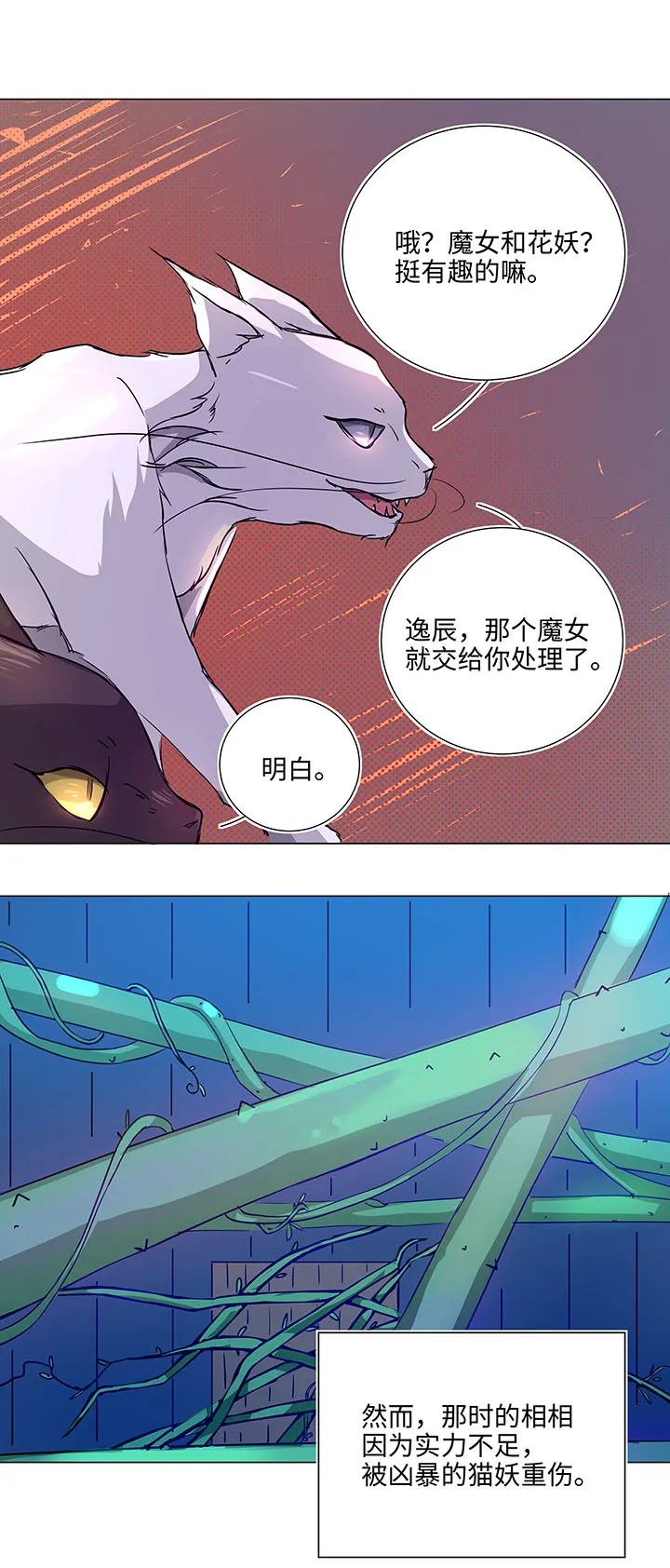 41 六十年前 第13页
