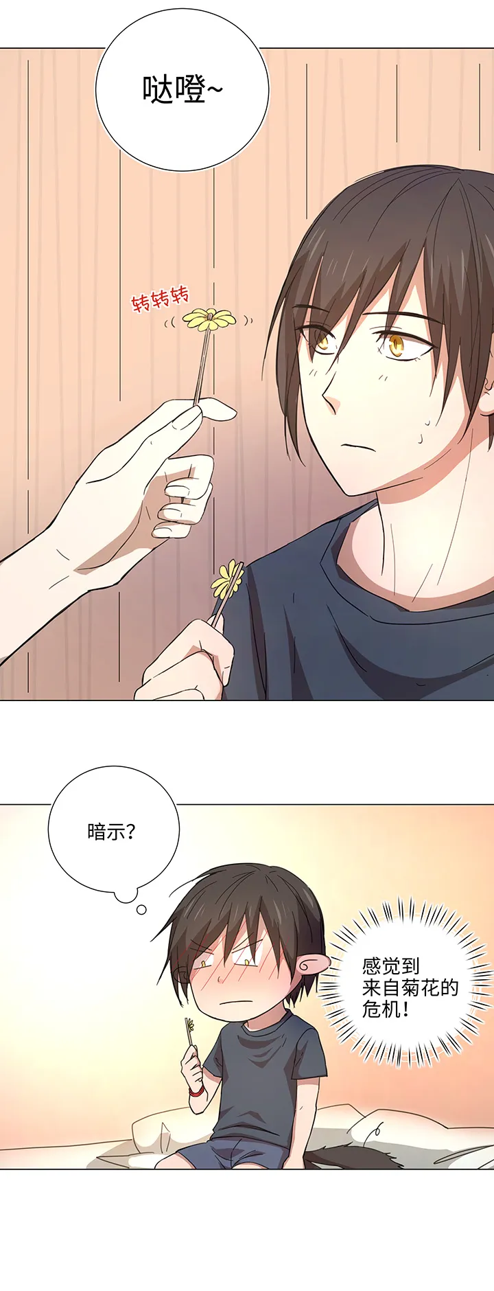 46 小菊花 第6页