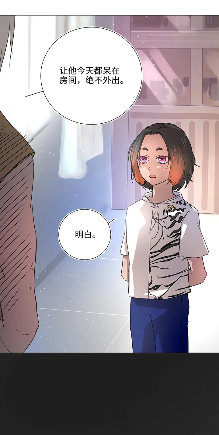 51 伪装 第5页