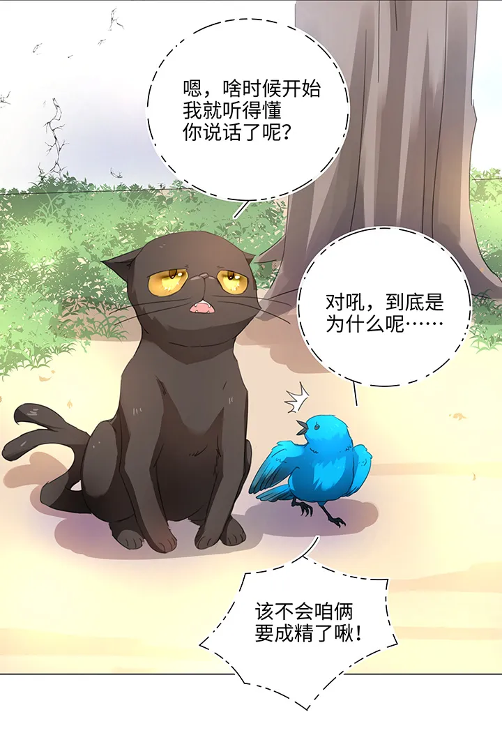 56 黑猫传说.一 第18页