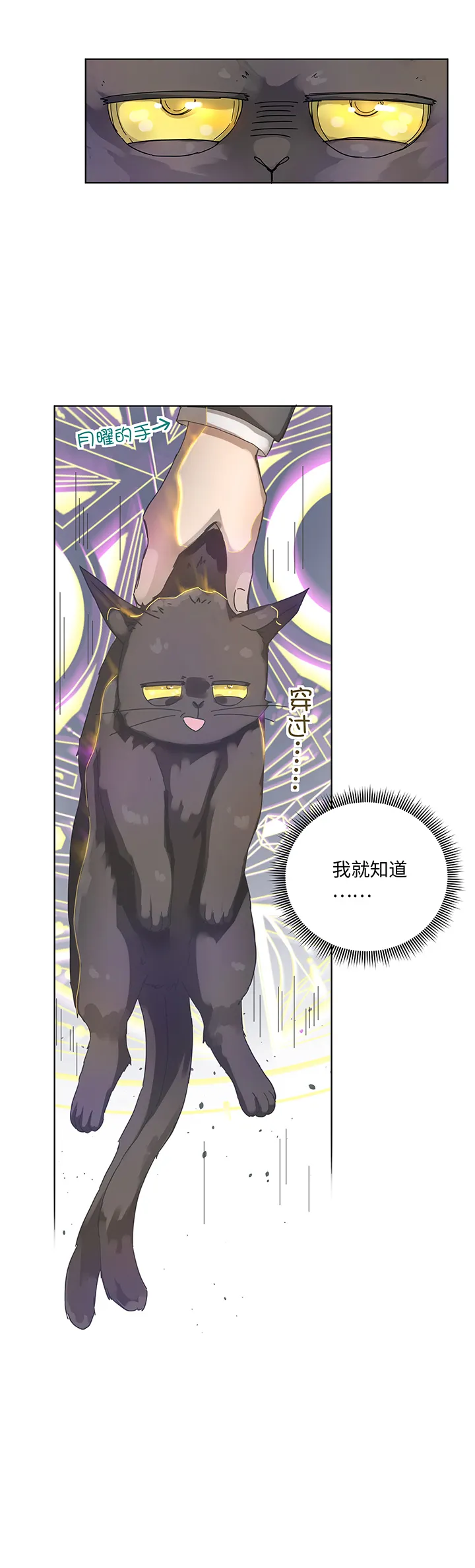 90 进入镇上 第11页