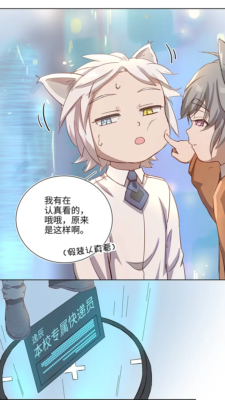 番外③ 泠珝与异色瞳狮子猫（上） 第14页