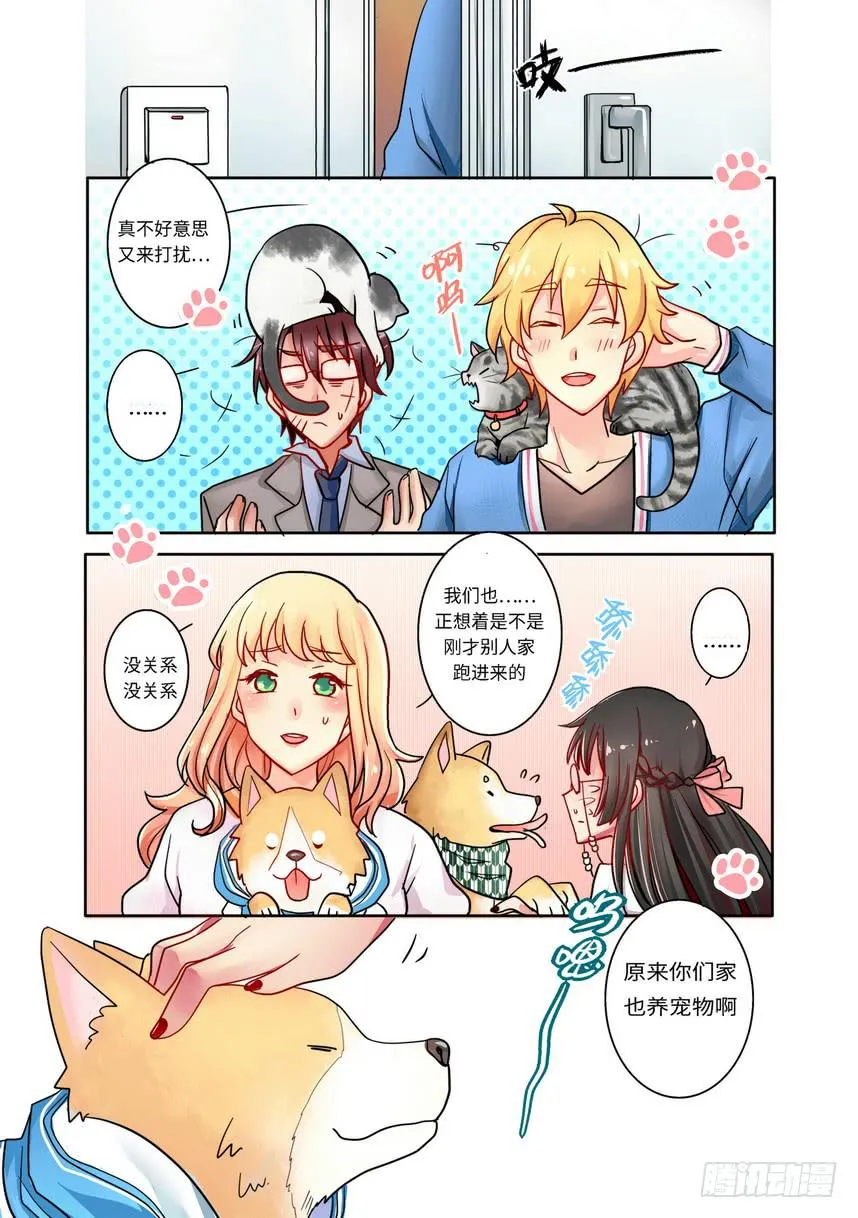 3 第5页
