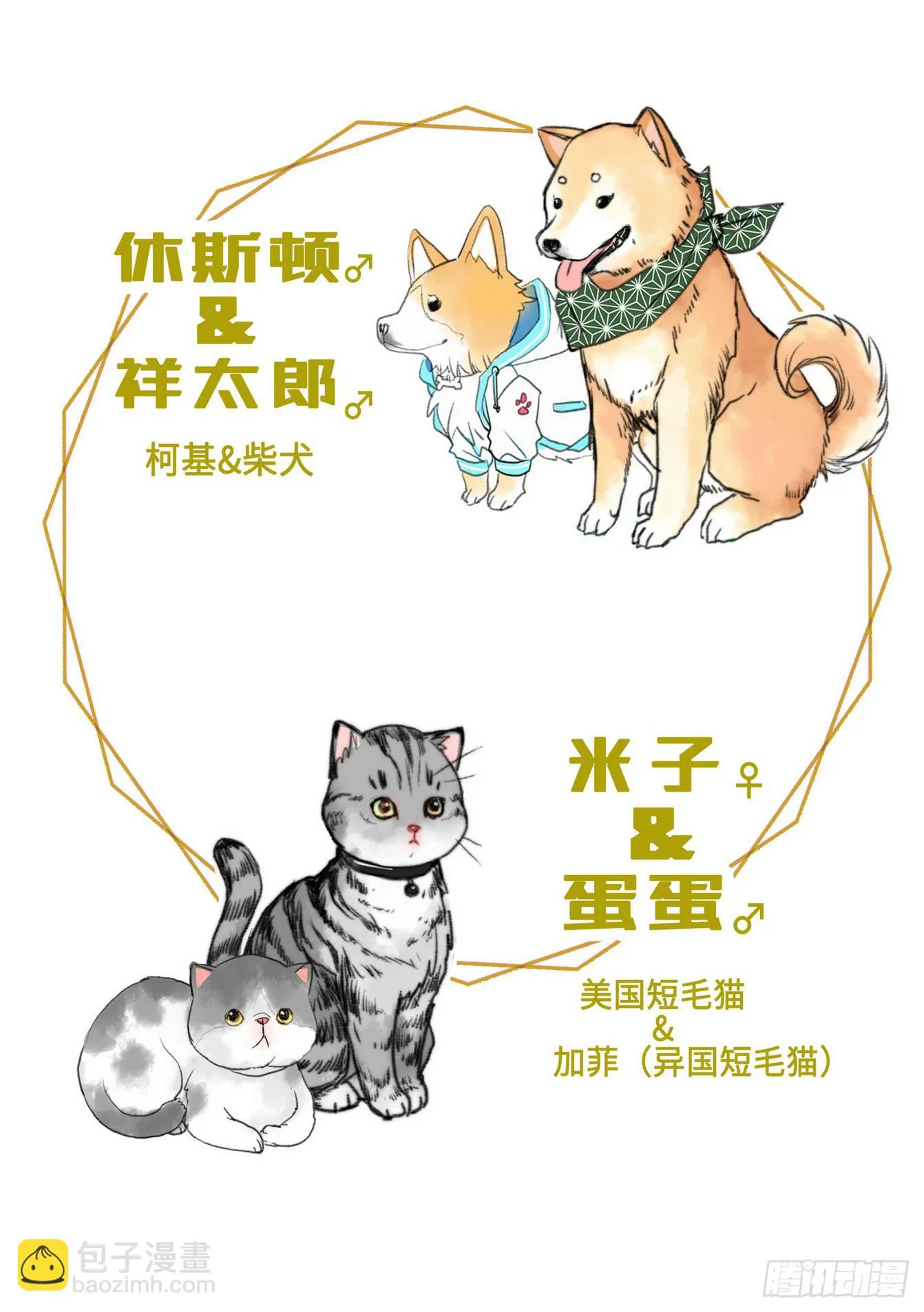 9 第9页