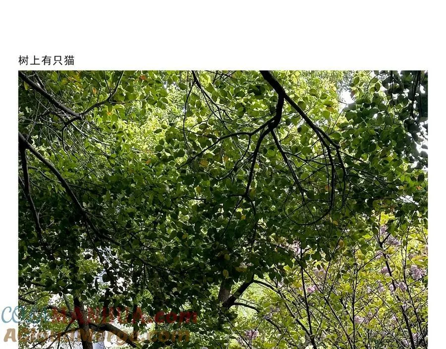 第429话 师父热疯了 第15页