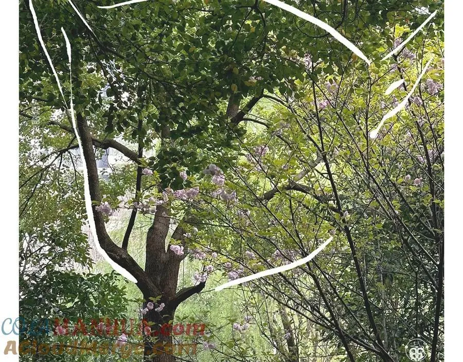 第429话 师父热疯了 第17页