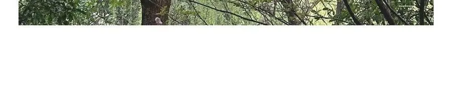 第429话 师父热疯了 第18页