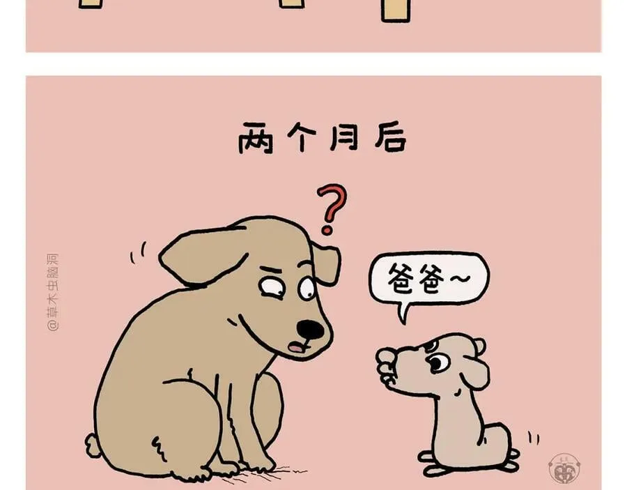 第439话 学习减压 第12页