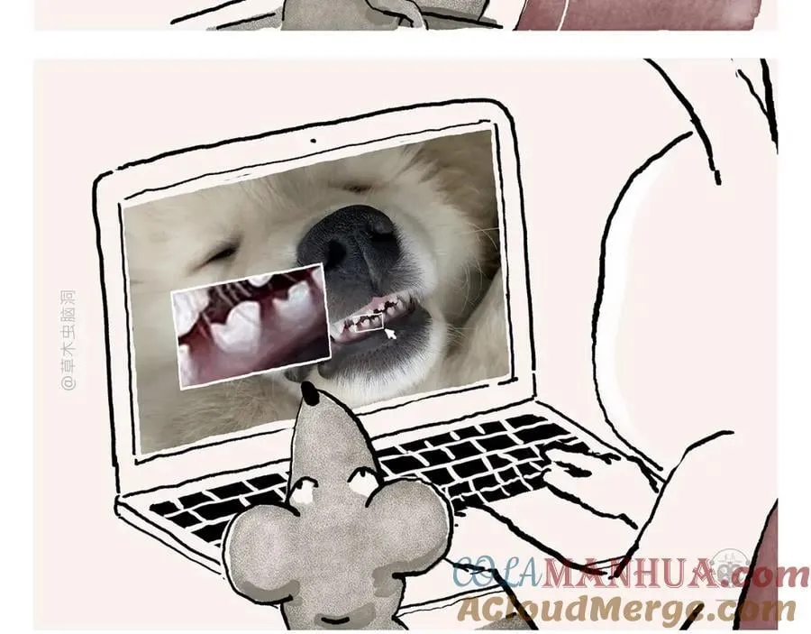 第445话 我要这铁棒有何用 第9页