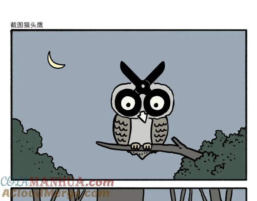 第464话 根本看不完 第5页