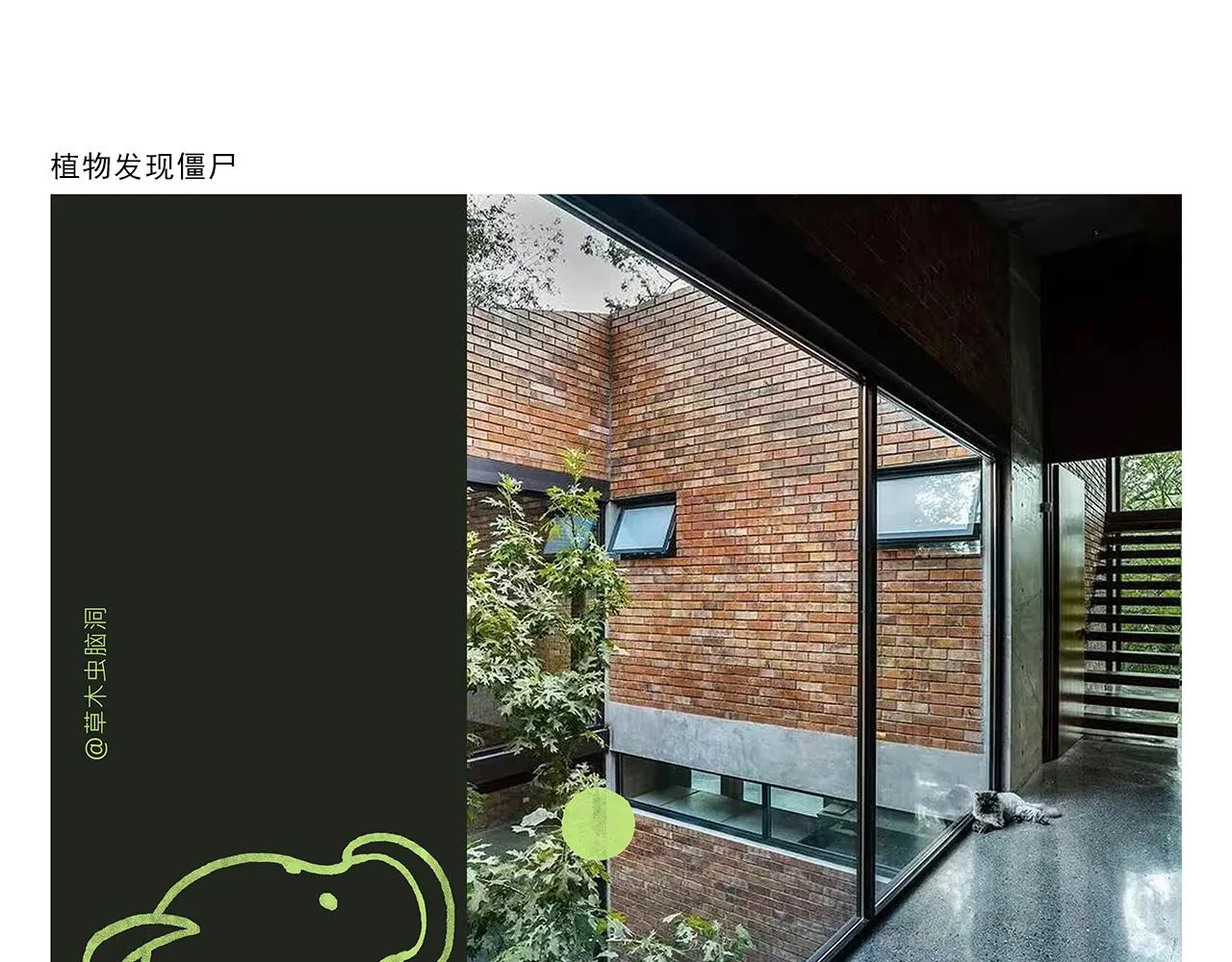 第352话 悟空禁止吸烟 第11页