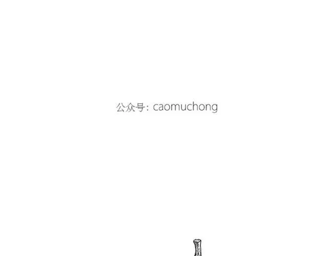 师傅洗澡 第32页