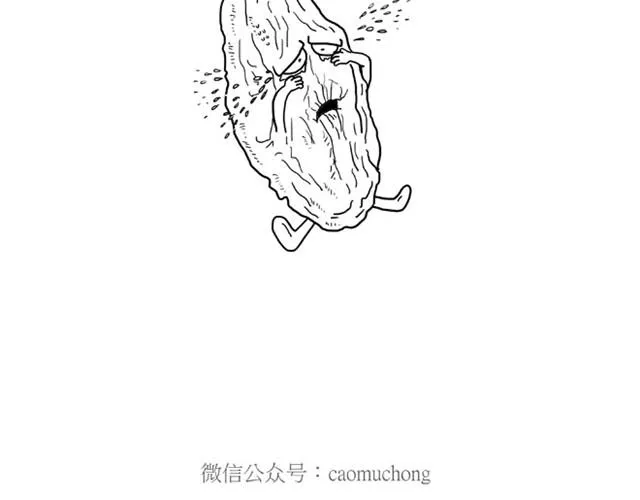 师傅是果粉 第19页