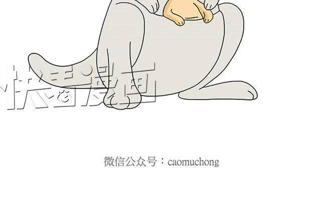师傅保健 第12页