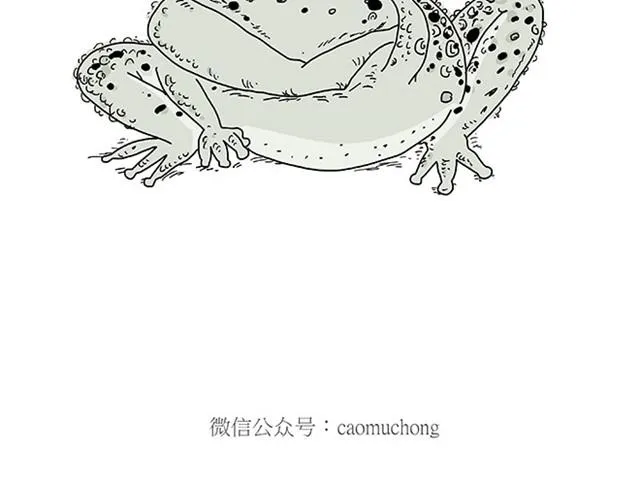 师傅保健 第30页