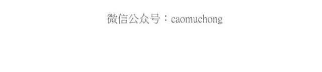 卖糕的师傅 第8页