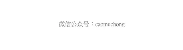卖糕的师傅 第25页
