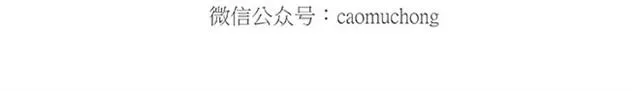 卖糕的师傅 第37页