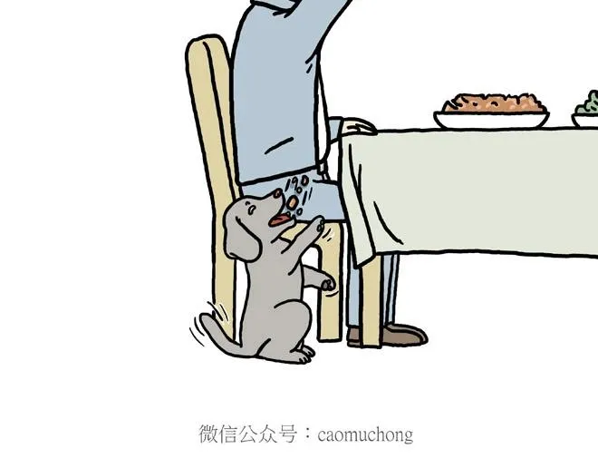 守护师傅婴儿期 第31页