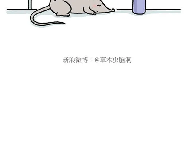 师傅的APP 第24页