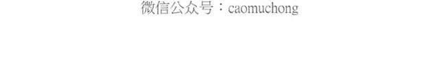师傅的APP 第32页
