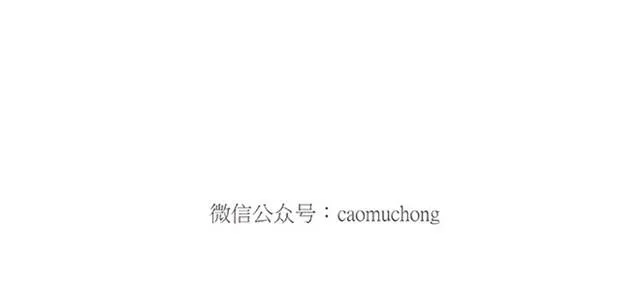 师傅弹钢琴 第26页