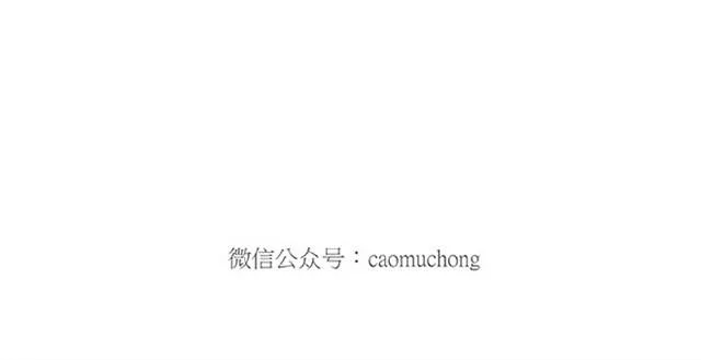 师傅弹钢琴 第34页