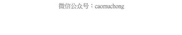 师傅开挖掘机 第14页