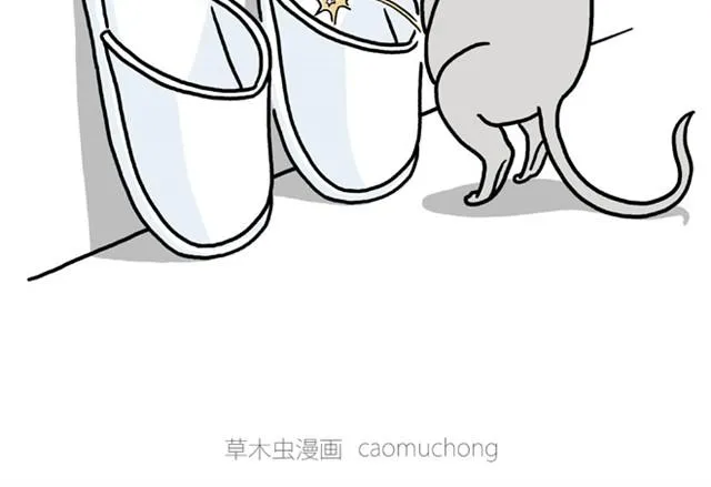 师傅开挖掘机 第16页