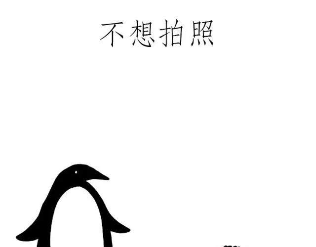 师傅开挖掘机 第17页