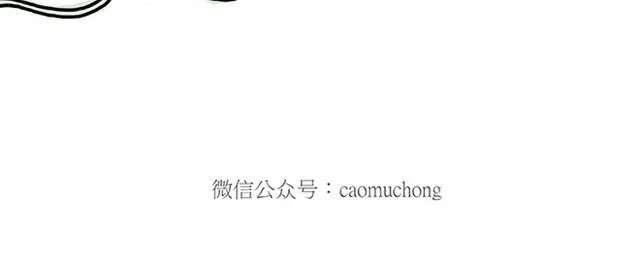 师傅赛龙舟 第12页