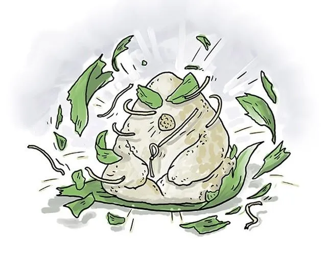 师傅赛龙舟 第23页