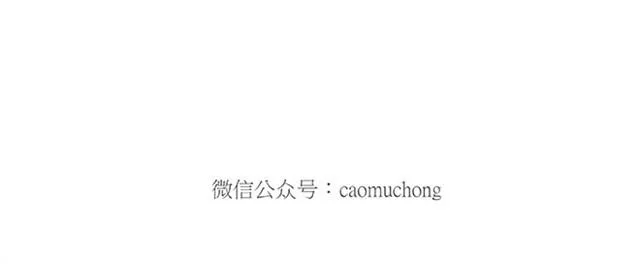 师傅潜水 第24页