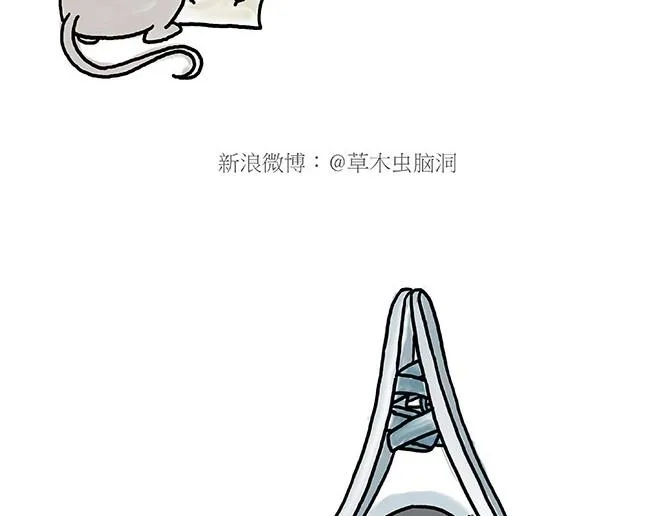 师傅的茶道 第16页