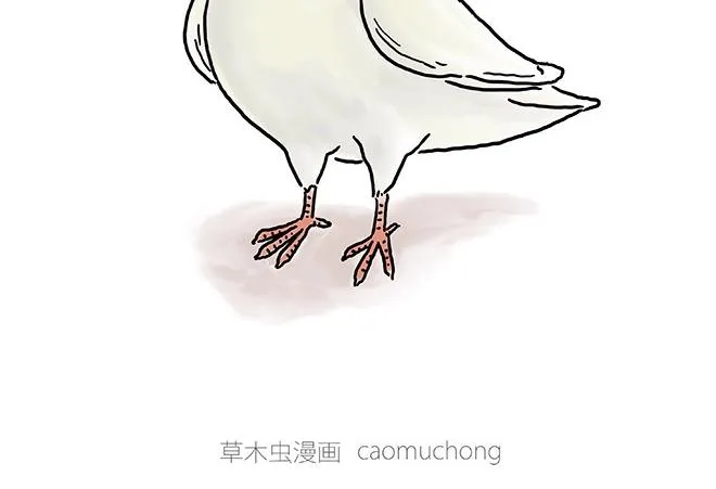 师傅的茶道 第30页
