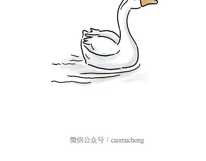 师傅的庆功宴 第29页
