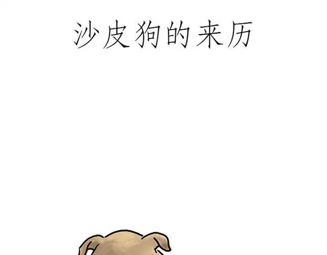 帮师傅挡羞 第25页