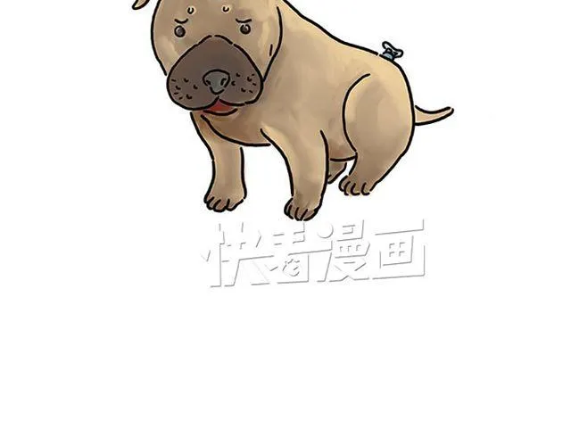 帮师傅挡羞 第26页