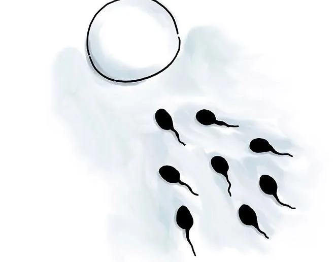 师徒星冰乐 第8页