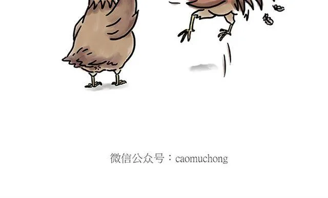 健身球操 第6页