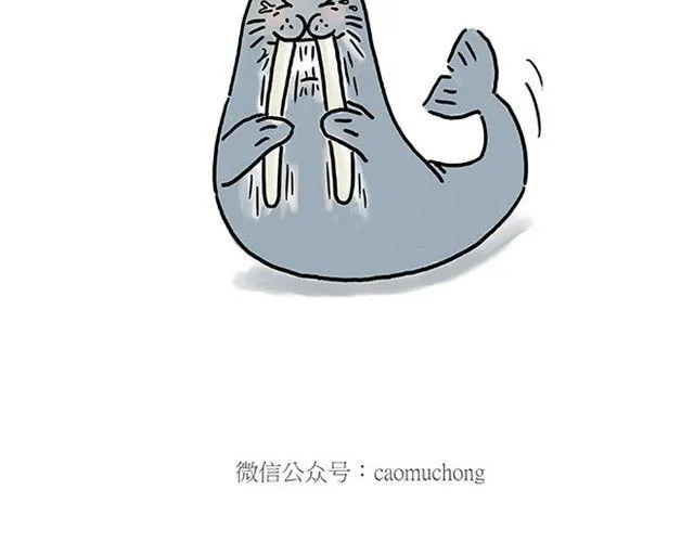 健身球操 第27页