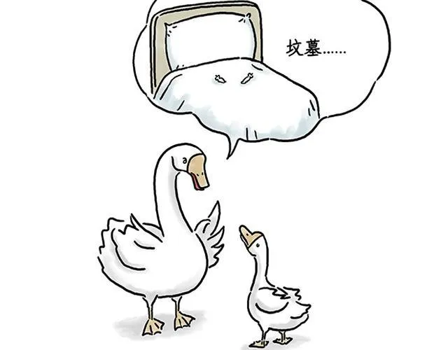 健身球操 第30页