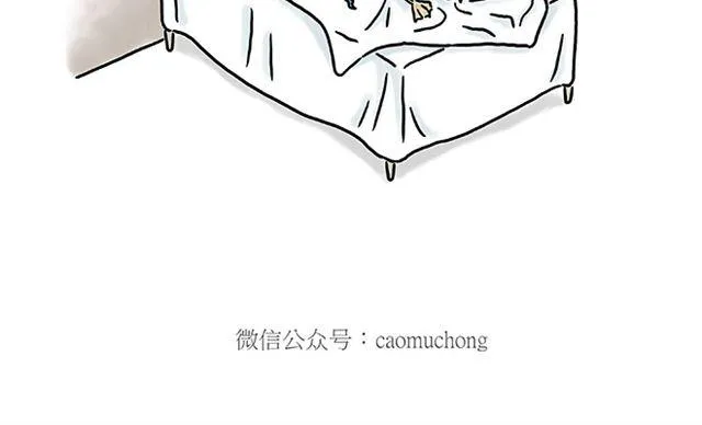健身球操 第34页