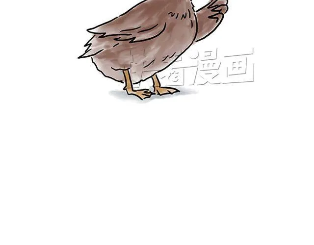 师傅直升机 第4页