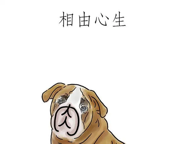 师傅直升机 第13页