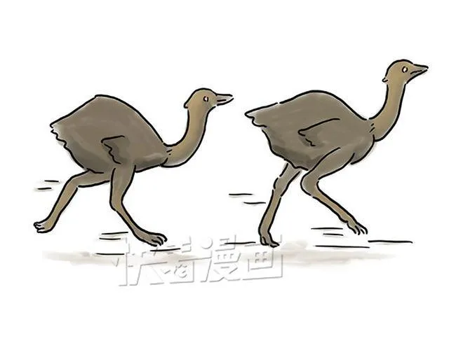 师傅钓鱼 第16页
