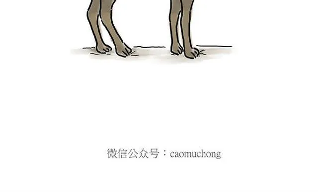 师傅钓鱼 第20页