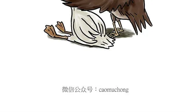 师傅搞怪 第36页