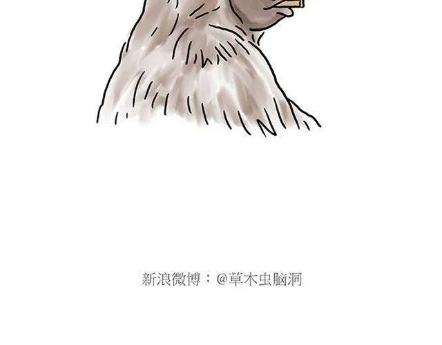 师傅学纹身 第10页