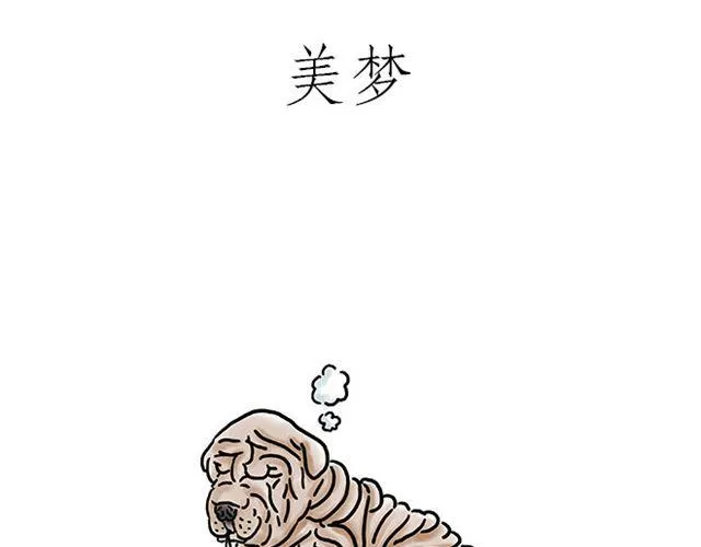 师傅的马戏 第9页